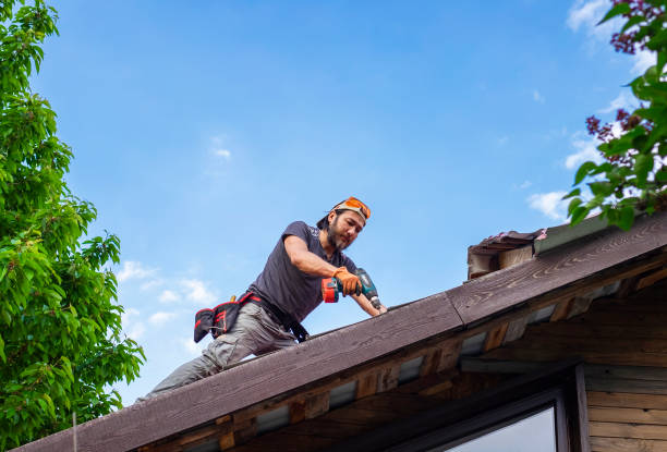 Best Roof Insulation Installation  in Bloomingdale, TN